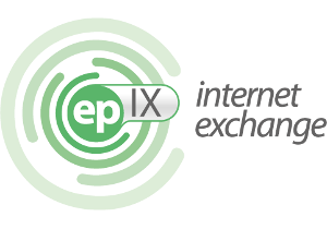 Strona internetowa projektu EPIX