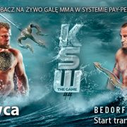 Gala MMA Bedorf vs Pudzian